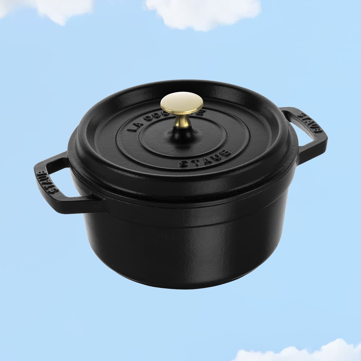 CAST IRON Cocotte 20cm