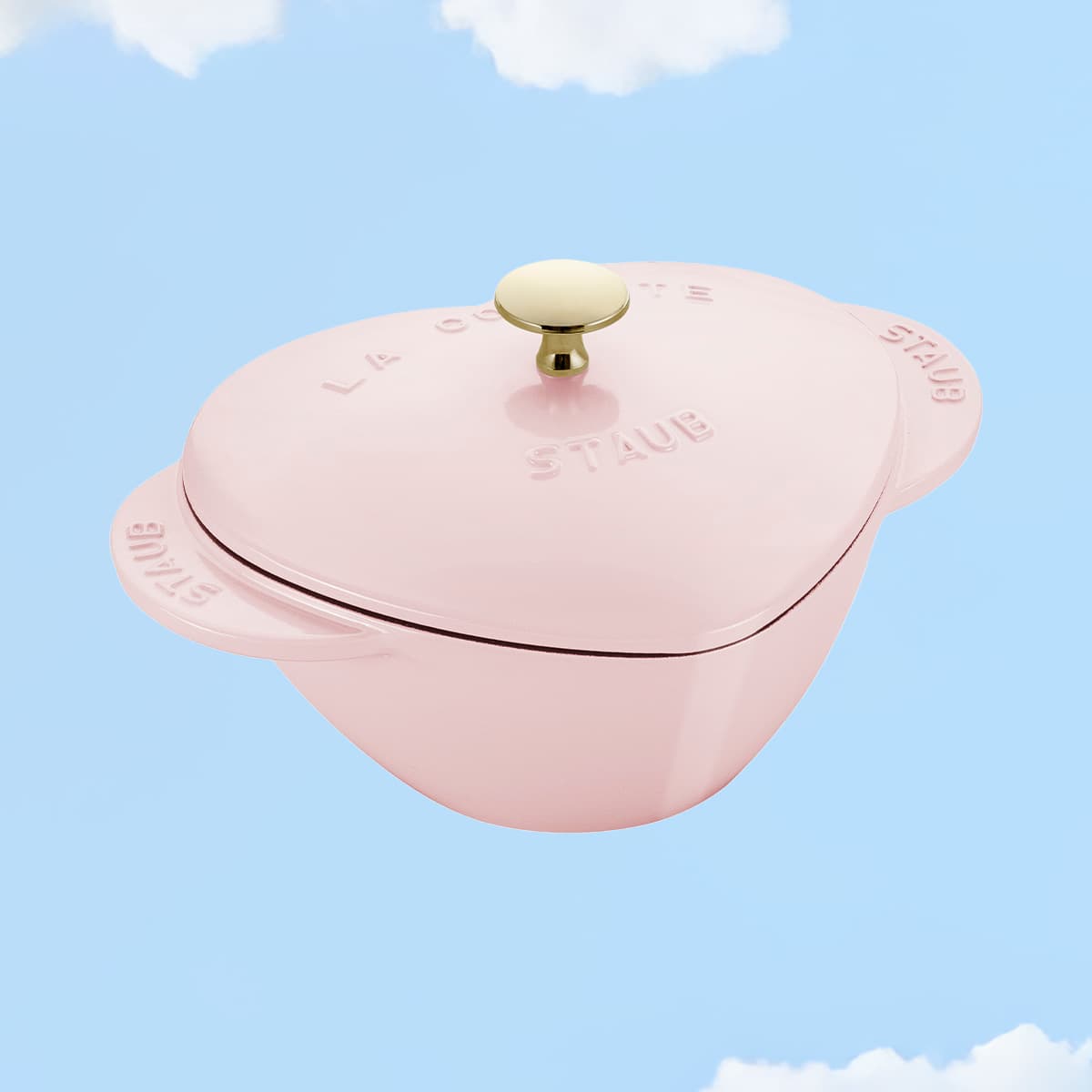 CAST IRON Cocotte 20cm