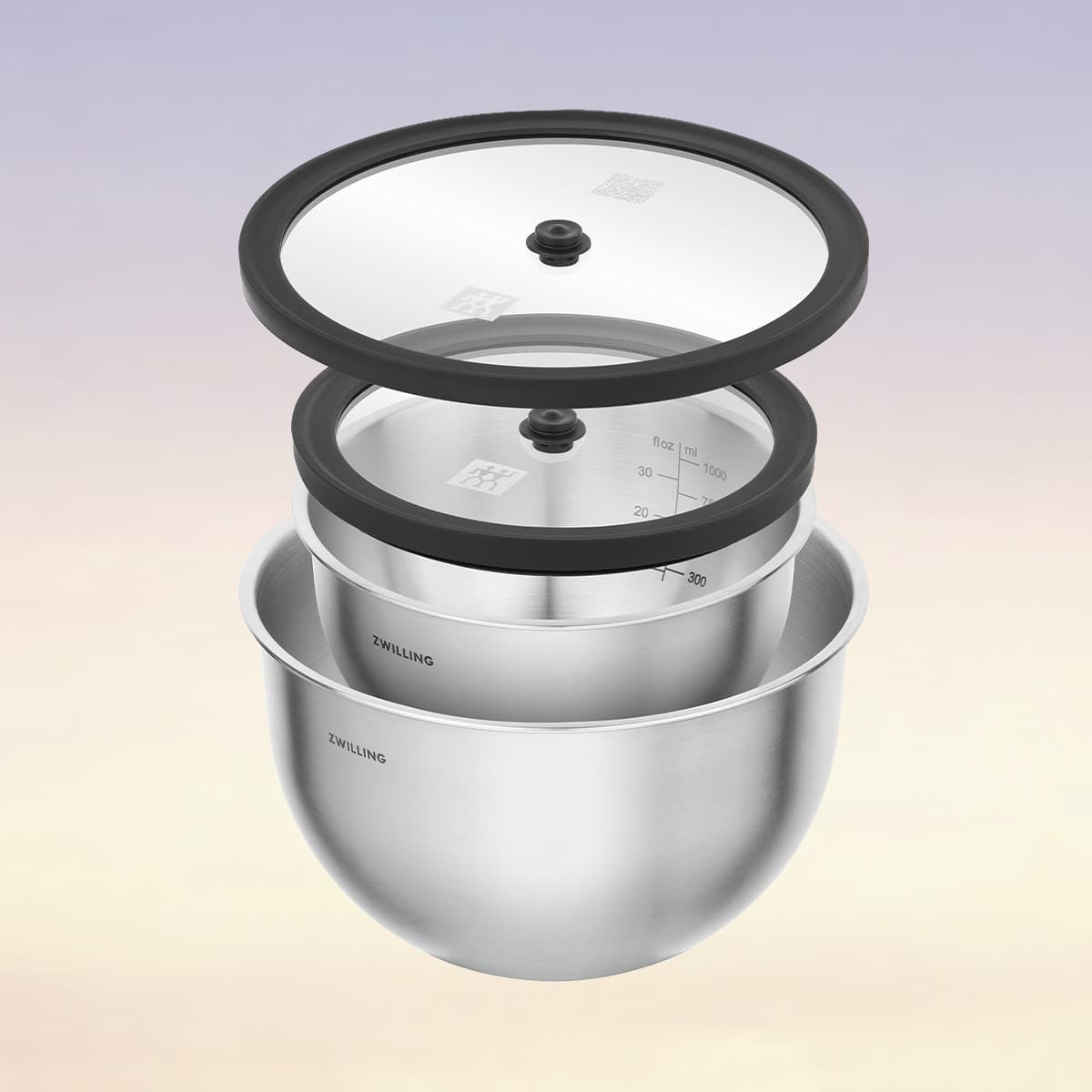 FRESH & SAVE Vacuum Lid Set